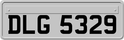 DLG5329