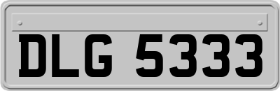 DLG5333