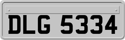 DLG5334