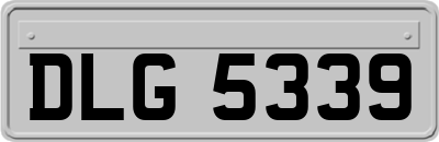 DLG5339