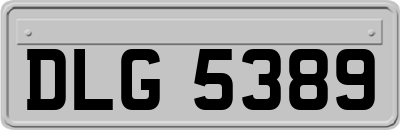 DLG5389