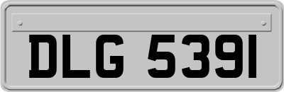 DLG5391