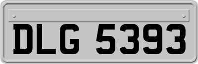 DLG5393