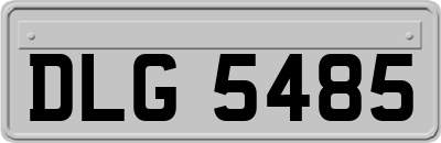 DLG5485