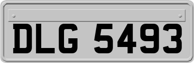 DLG5493