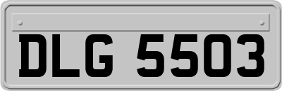 DLG5503