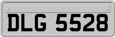 DLG5528