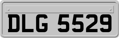 DLG5529