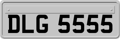 DLG5555