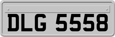 DLG5558