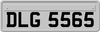 DLG5565
