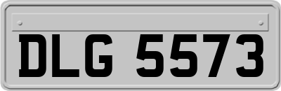 DLG5573