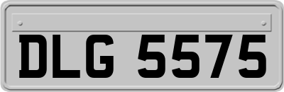 DLG5575