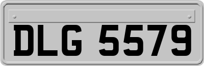 DLG5579