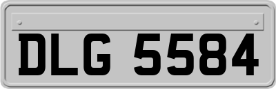 DLG5584