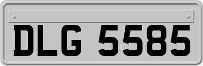 DLG5585