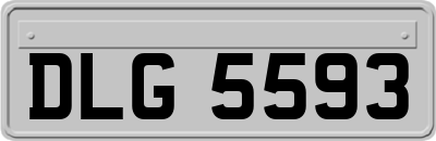 DLG5593