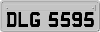 DLG5595