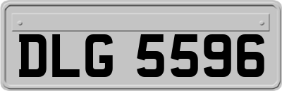 DLG5596
