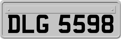 DLG5598