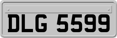 DLG5599
