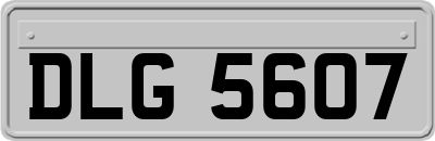 DLG5607