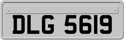 DLG5619