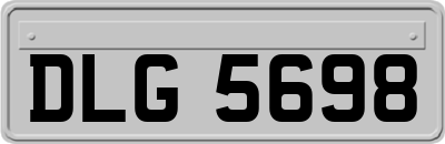 DLG5698