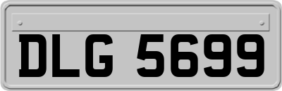 DLG5699