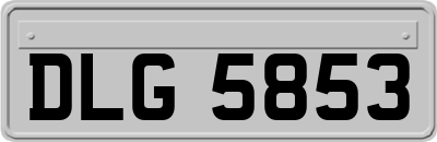 DLG5853