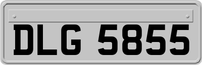 DLG5855