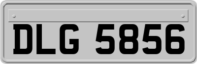 DLG5856