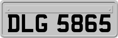 DLG5865