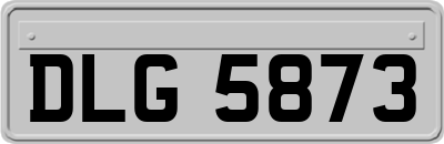 DLG5873