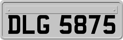 DLG5875