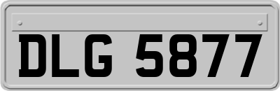 DLG5877