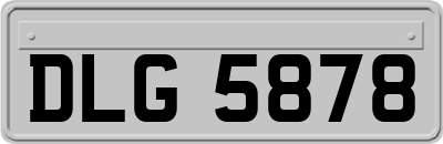 DLG5878