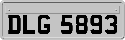 DLG5893