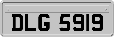 DLG5919