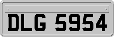 DLG5954