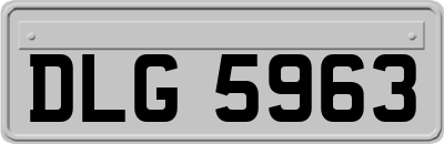 DLG5963