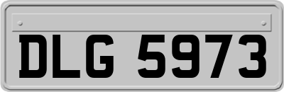 DLG5973