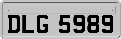 DLG5989