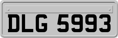 DLG5993