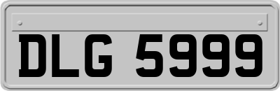 DLG5999