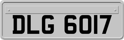 DLG6017