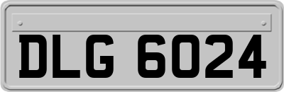DLG6024