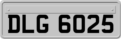 DLG6025
