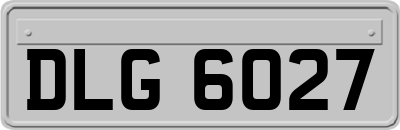DLG6027