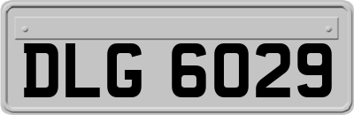 DLG6029